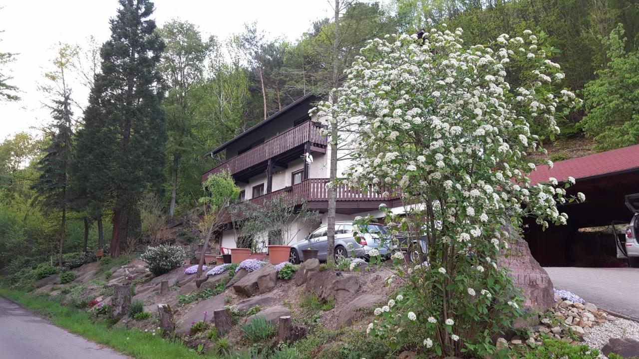 Gaestehaus Gerhardt Schweigen-Rechtenbach Exterior foto